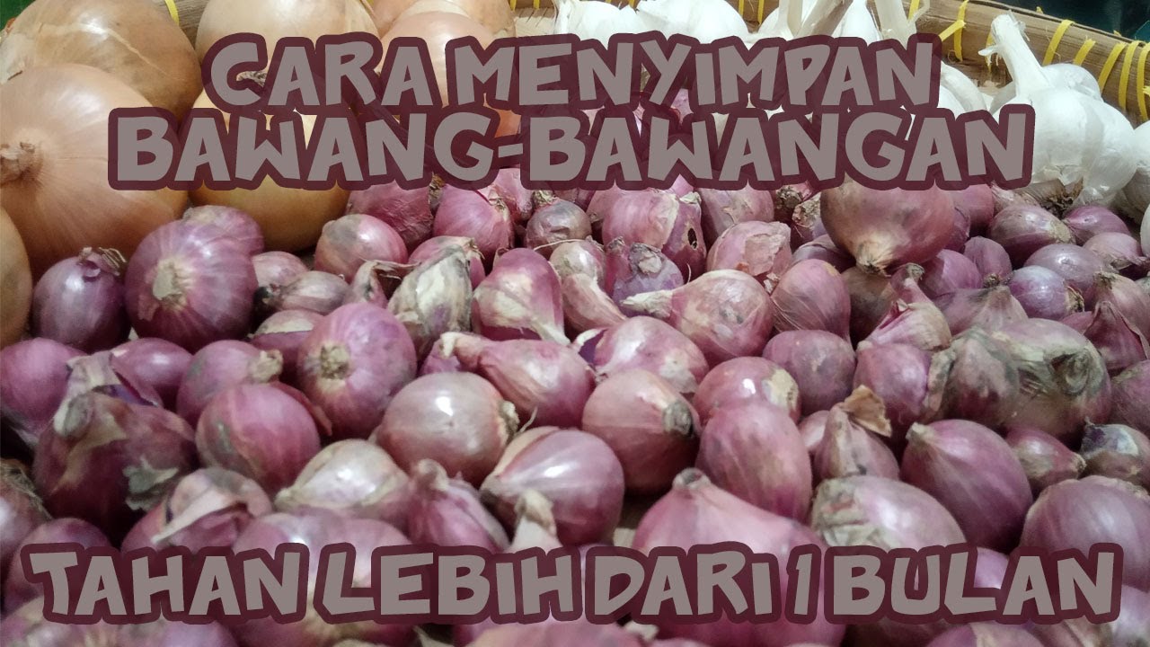 Cara Simpan Bawang-Bawangan hingga tahan berbulan-bulan