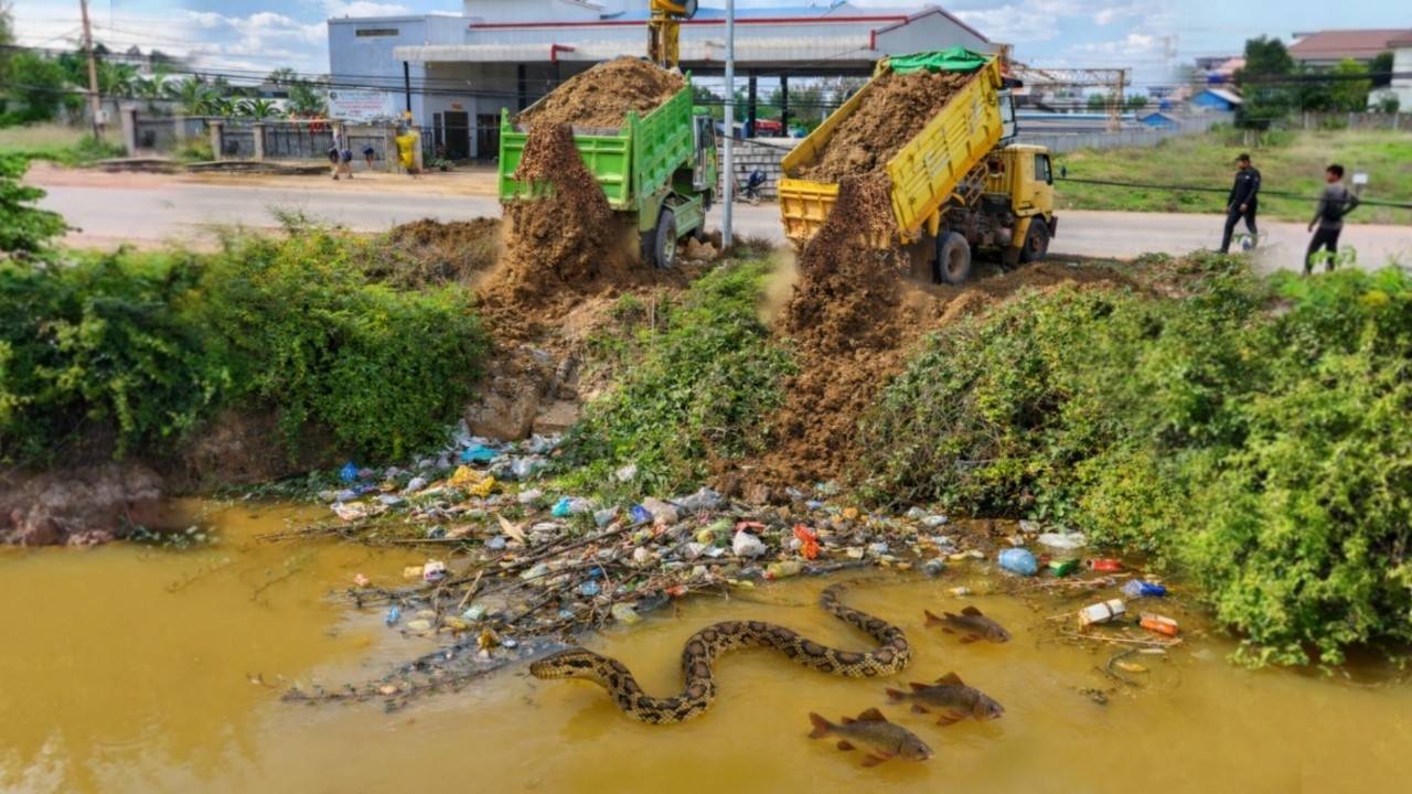 Getting New Perfect Project!! Delete Canal Process by Mini Dozer Skill Push, Truck Dumping Dirt