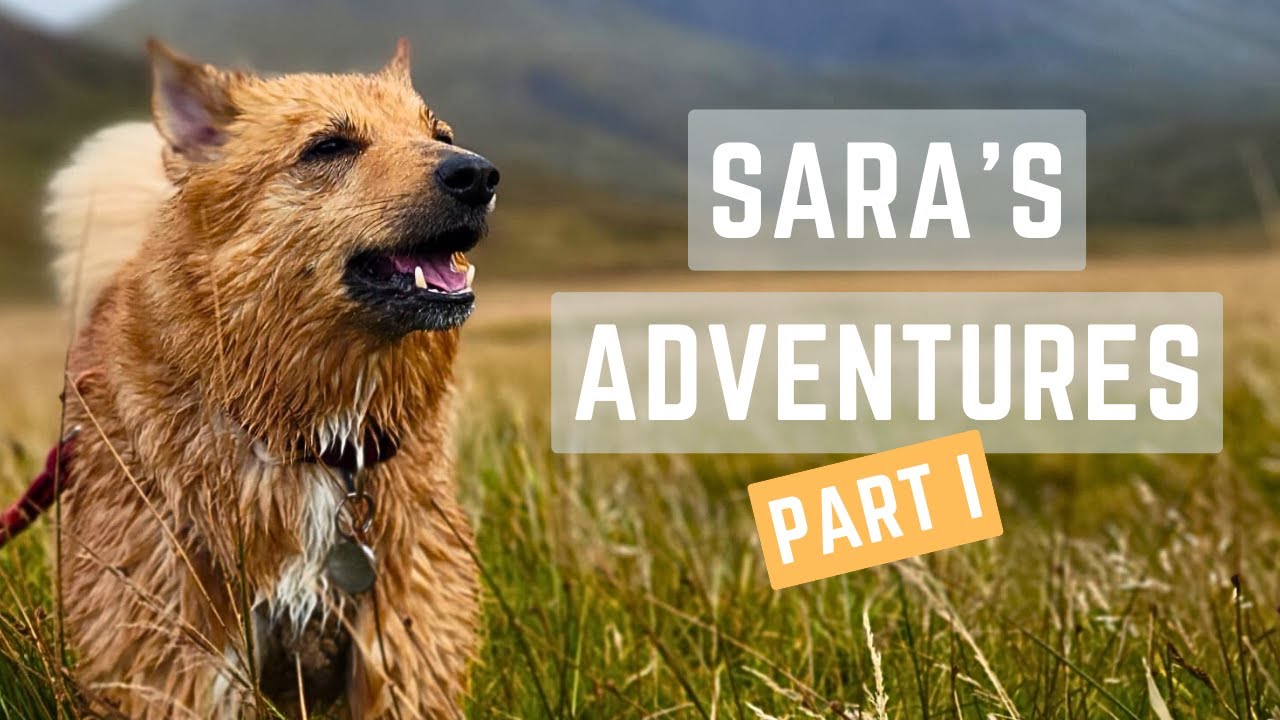 Sara's Adventures, Part I