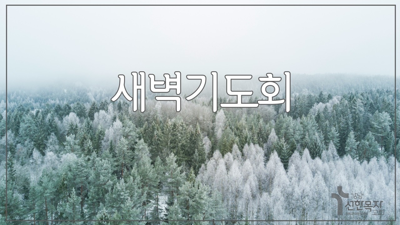 2026.02.23. 새벽기도회 │마태복음 16:13-28│ 엄재현 목사