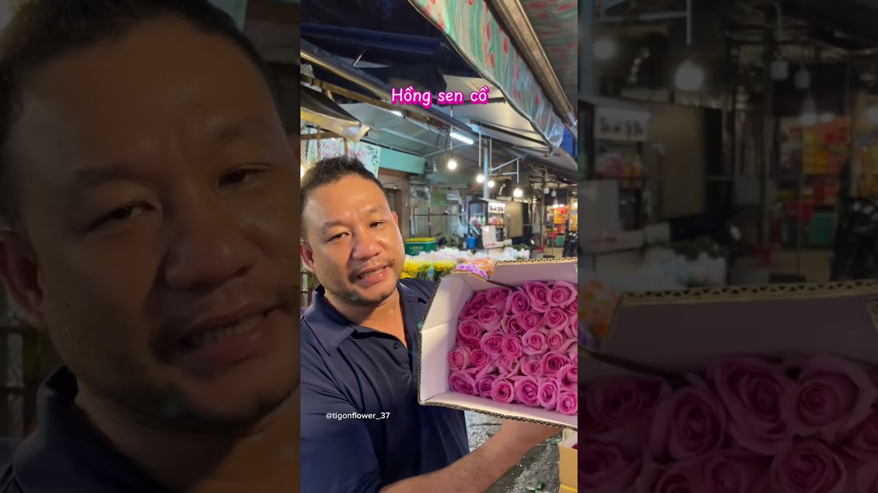 C&aacute;c loại hoa hồng m&agrave;u hồng 🌹