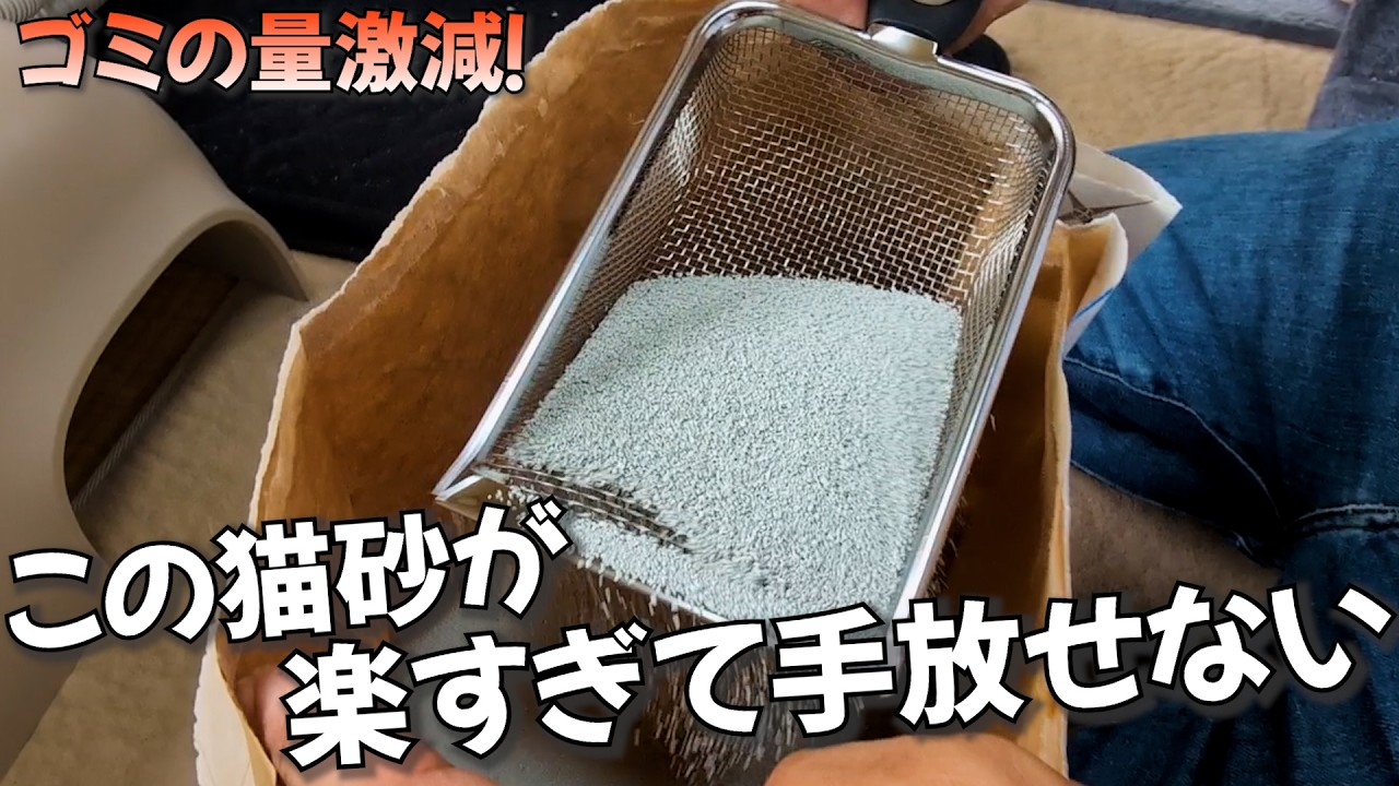 【絶対に衝撃うける超優秀な猫砂】粗相する猫も喜んで、吸水力抜群でゴミの量も圧倒的に減るから使ってみて