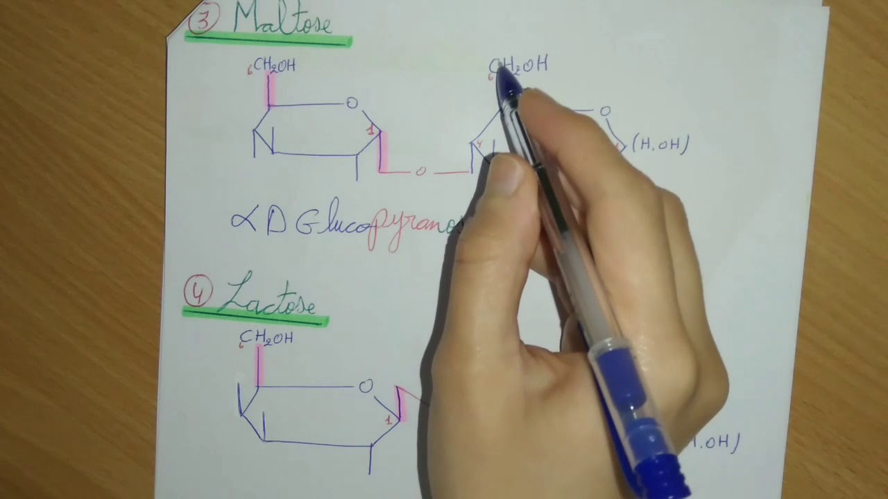 Biochimie : Les Glucides – Partie 5 : Les Osides et Leur Nomenclature
