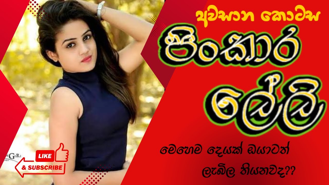 පිංකාර ලේලි - 03👩‍🦰 | අවසාන කොටස |PIN KARA LELI -| Sinhala Keti Katha |Short Story | 29 October 2025