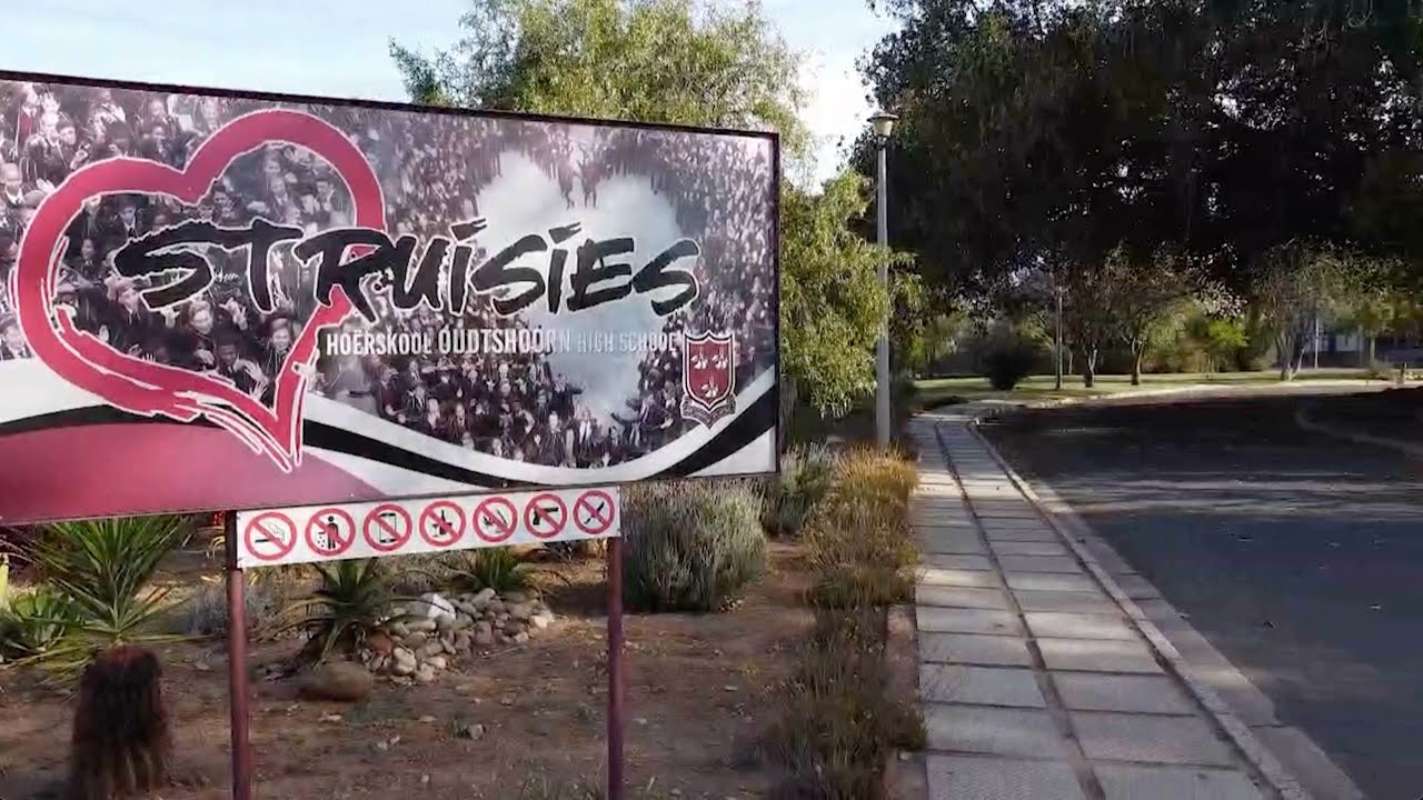 STRUISIES 2025
