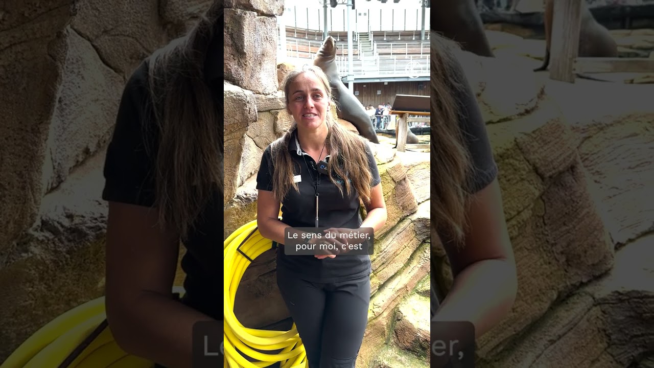 Soigneur animalier : 