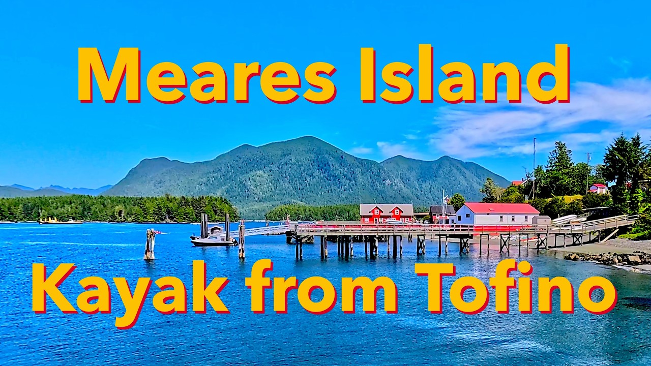 Meares Island by Kayak from Tofino