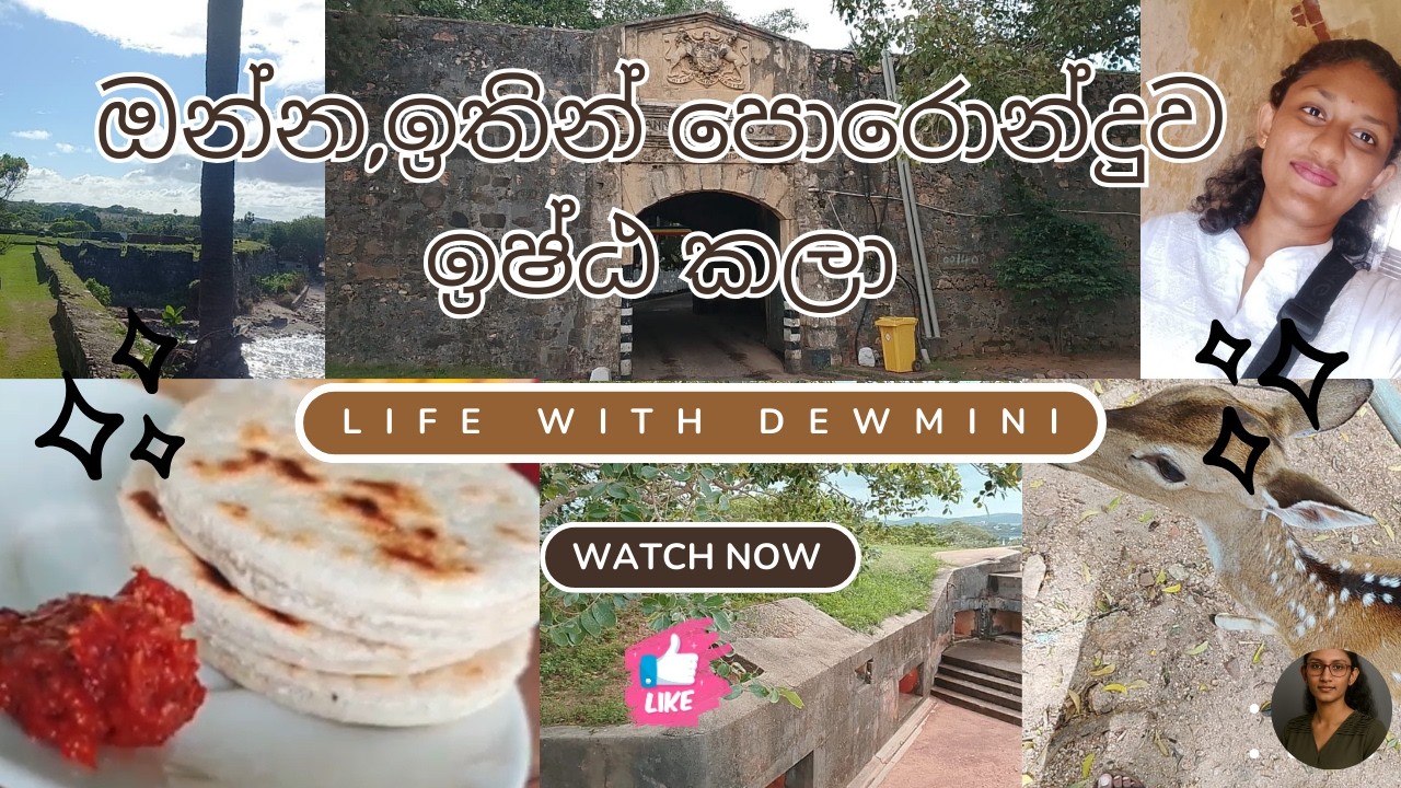 ඔන්න,ඉතින් පොරොන්දුව ඉෂ්ඨ කලා | My Daily Vlog 06 | Life With Dewmini