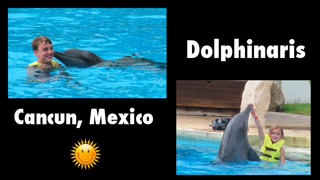 SWIMMING WITH THE DOLPHINS - DOLPHINARIS CANCUN