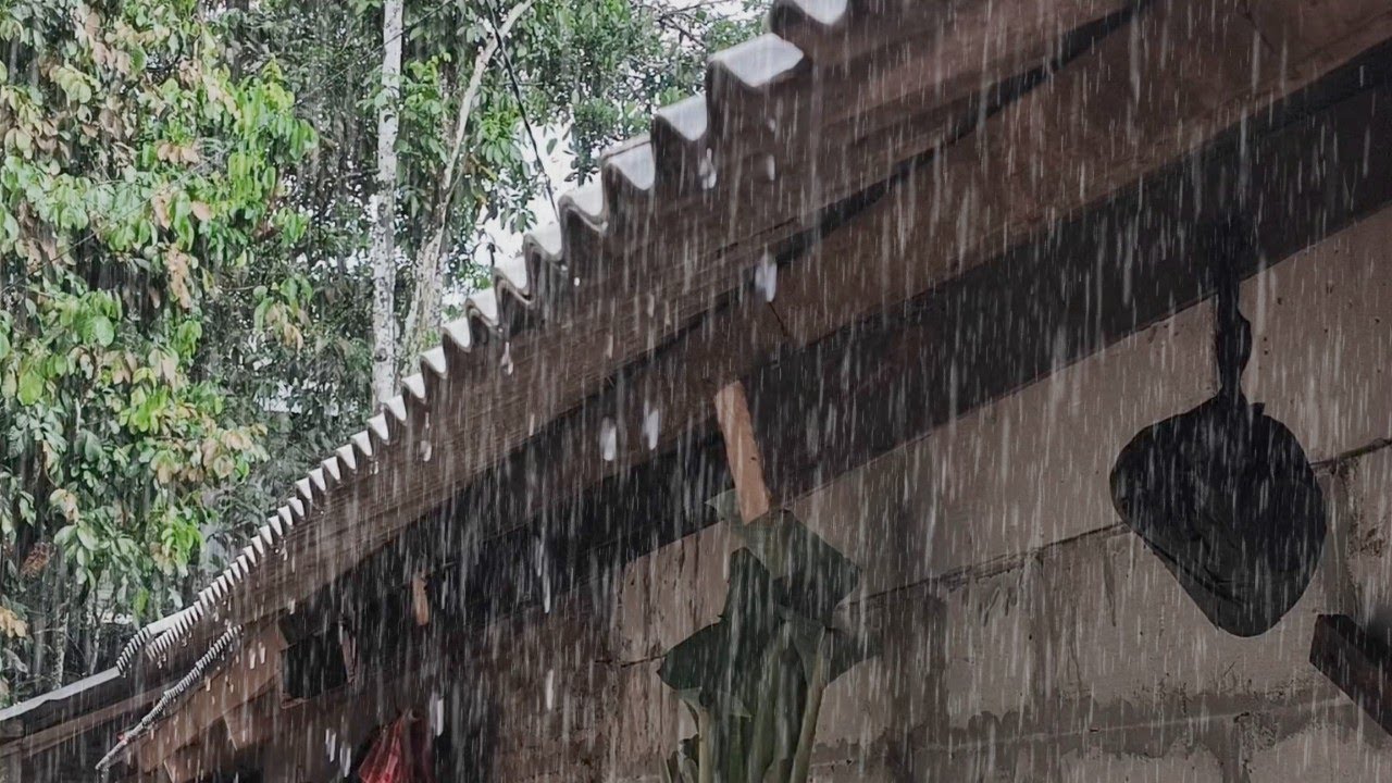 Soothing Rain Sounds for Sleeping | Stress & Anxiety Relief