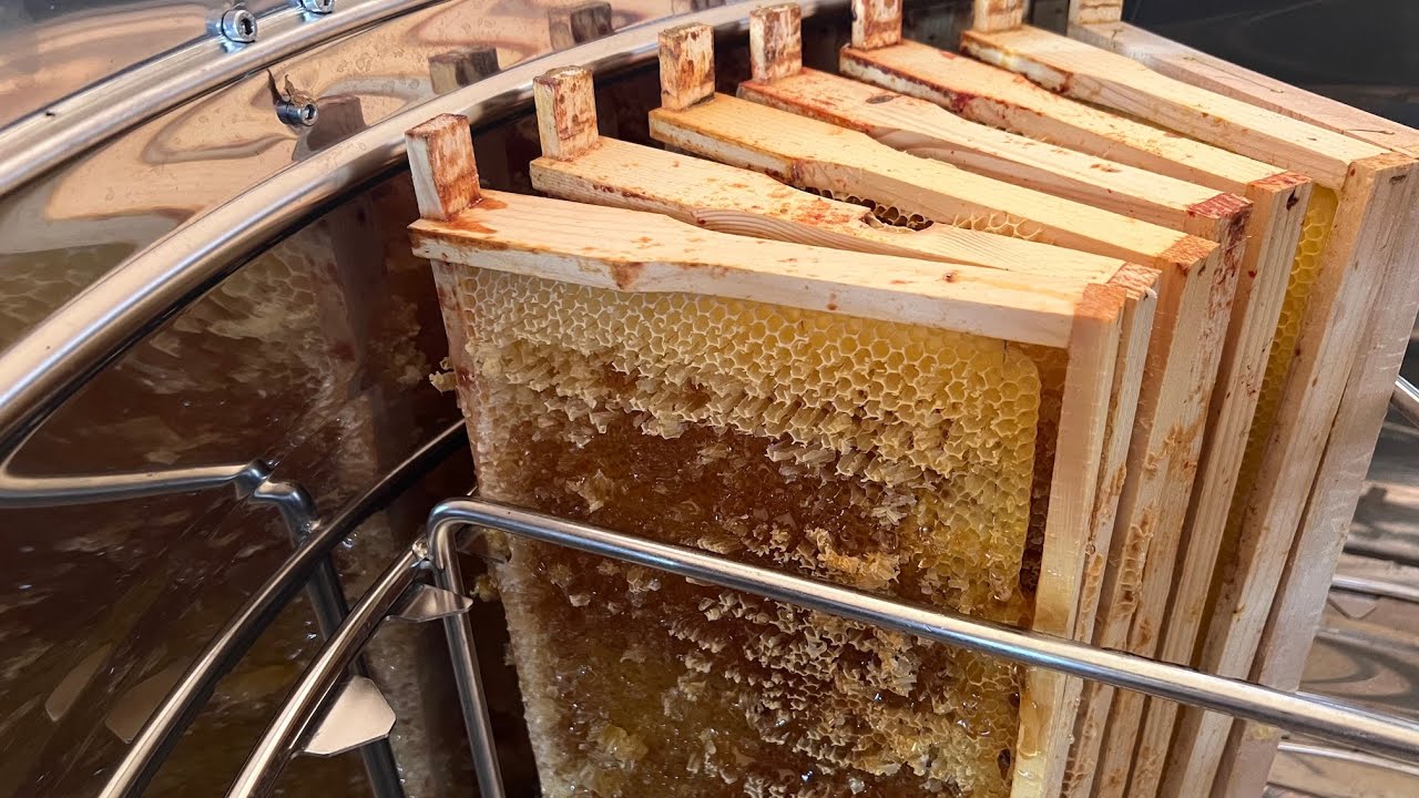 Honig schleudern - Gemeinschaftsaktion Imkerverein Viersen Stadt