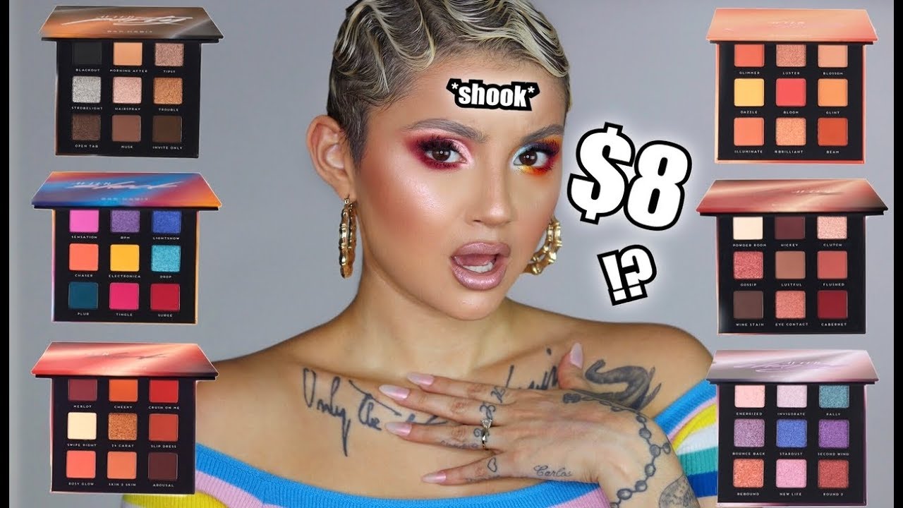 6 BEST CHEAP MAKEUP PALETTES EVER!?