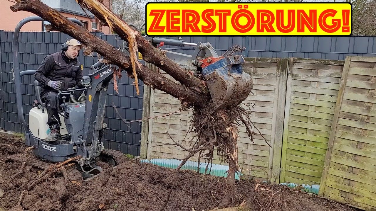 Alles Zerstört! Hartnäckige Tujas und wiederspenstige Eibe entfernen mit Bagger beim Andi zu Hause!