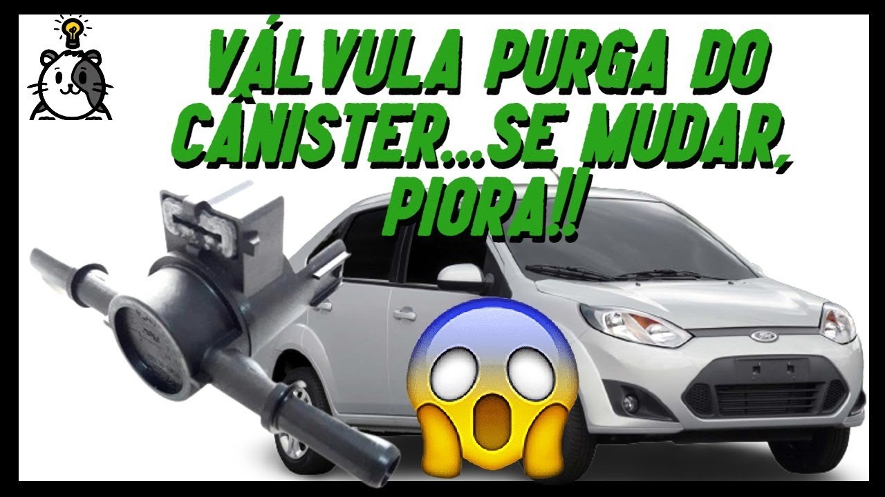 Fiesta Rocam Vapor de gasolina sem a válvula purga do cânister?
