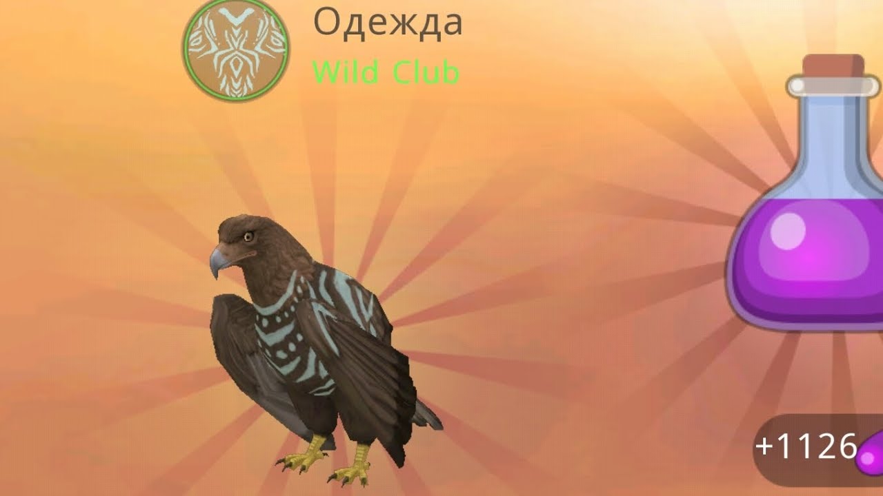 Прокачка орла до 200 #3! (Последняя часть)