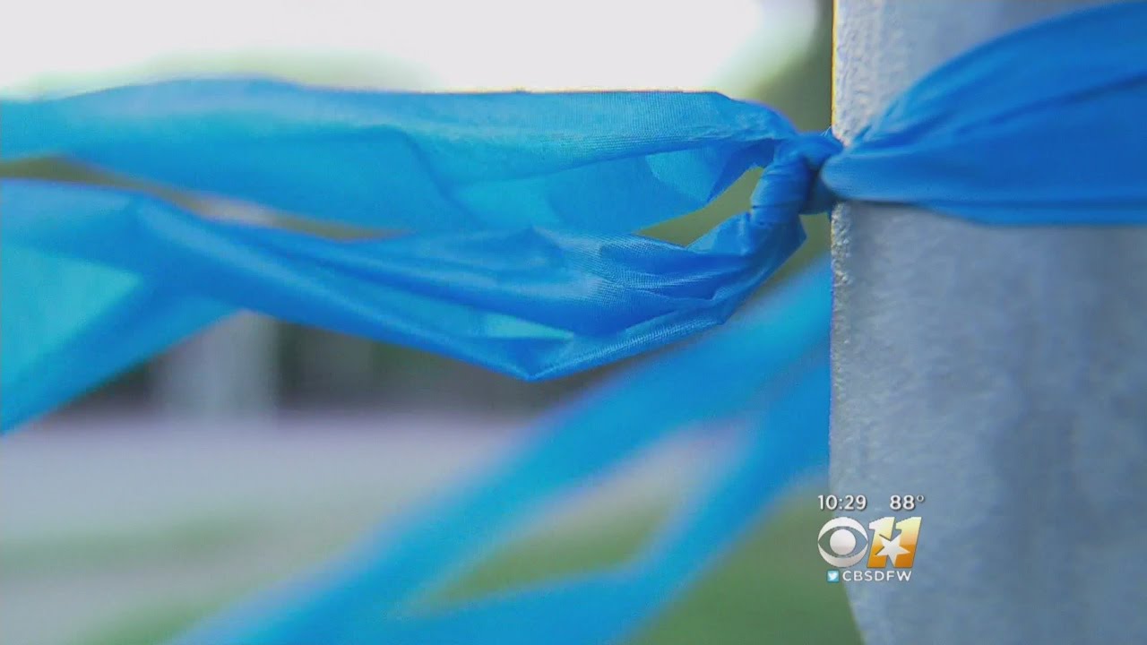 Blue Ribbons To Support Dallas Police Torn Down
