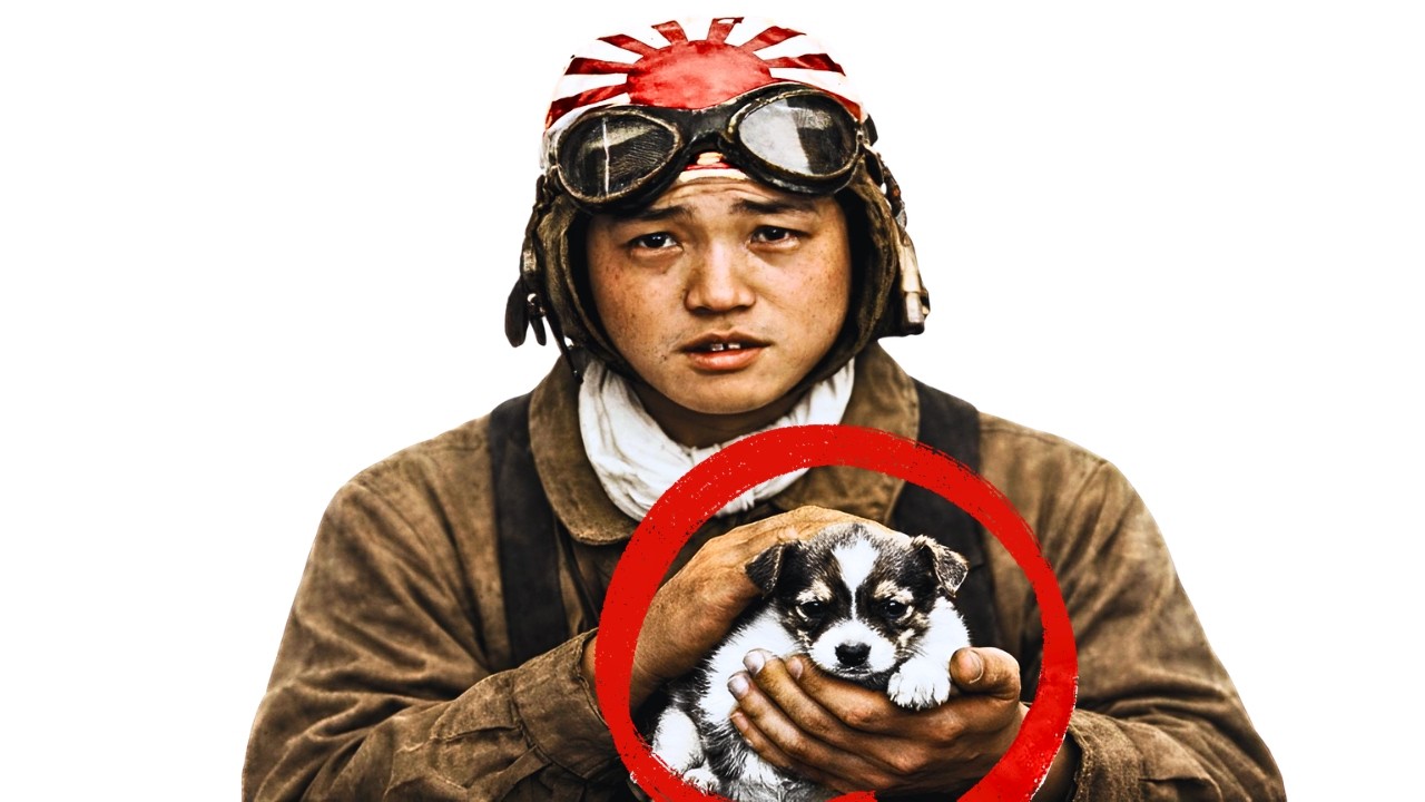 What U.S. Navy Did to Surviving Kamikaze Pilots