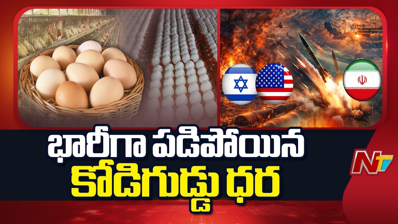Iran War Effect on Eggs: కోడి గుడ్డు పై అమెరికా -ఇరాన్ యుద్ధం ఎఫెక్ట్ | NTV Telugu