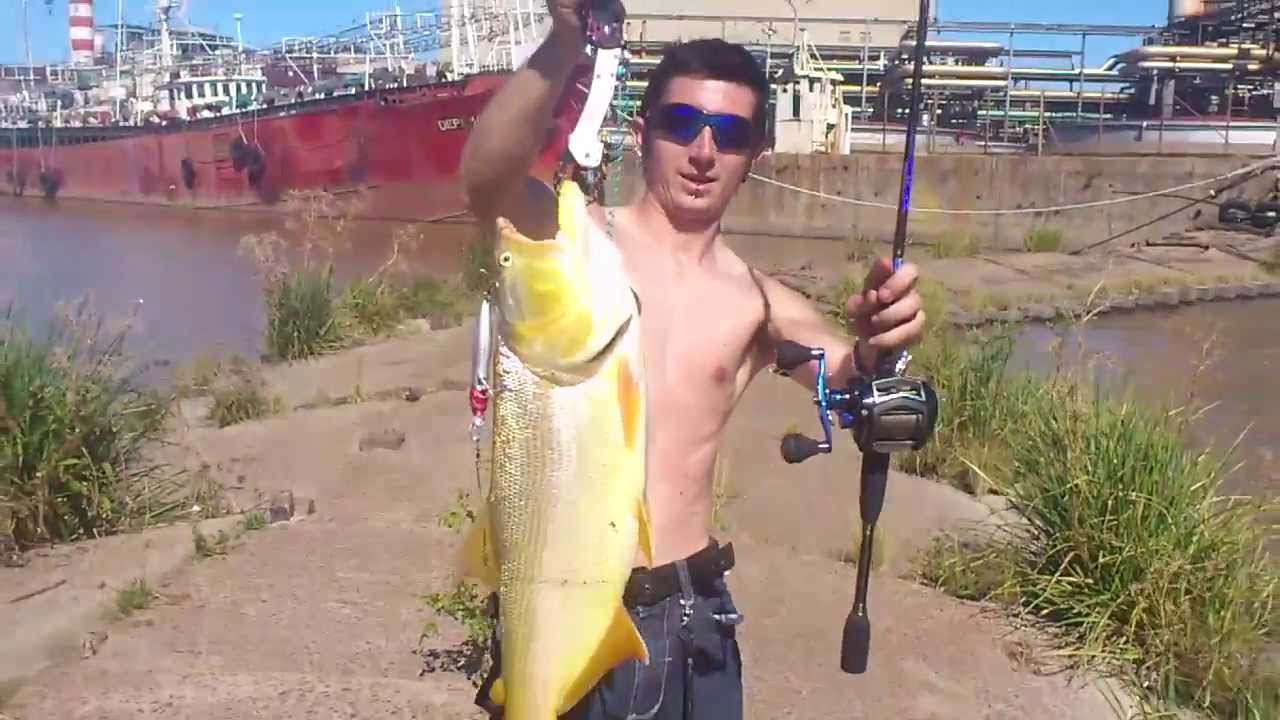 Pesca de dorado gigante en el río de la plata MONSTRUOS DE RIO