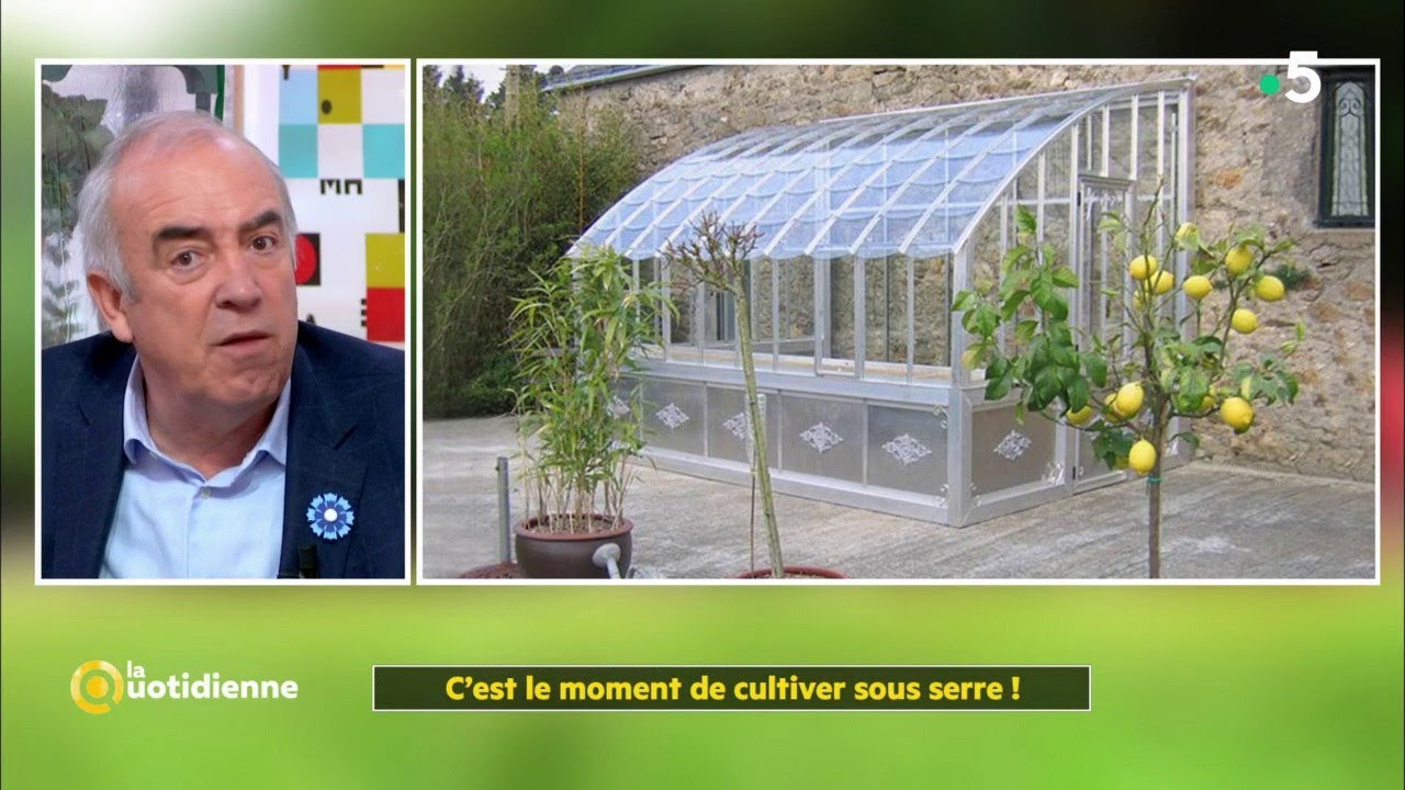 C'est le moment de cultiver sous serre ! - La Quotidienne