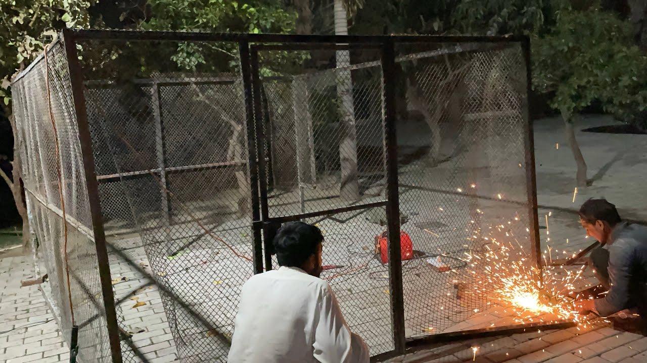 Ramzan Mubarak to all ❤️ budgies ka cage start kr dia🦜     | DeraVibes903