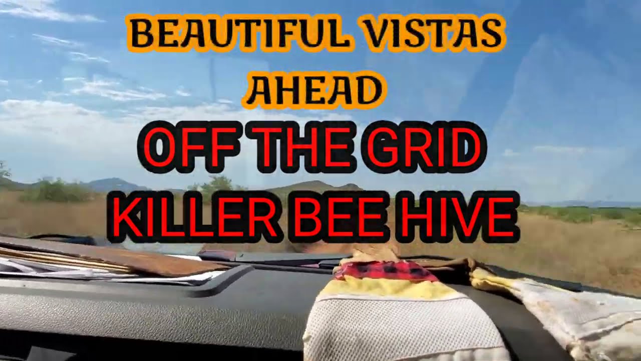 OFF THE GRID KILLER BEE HIVE!