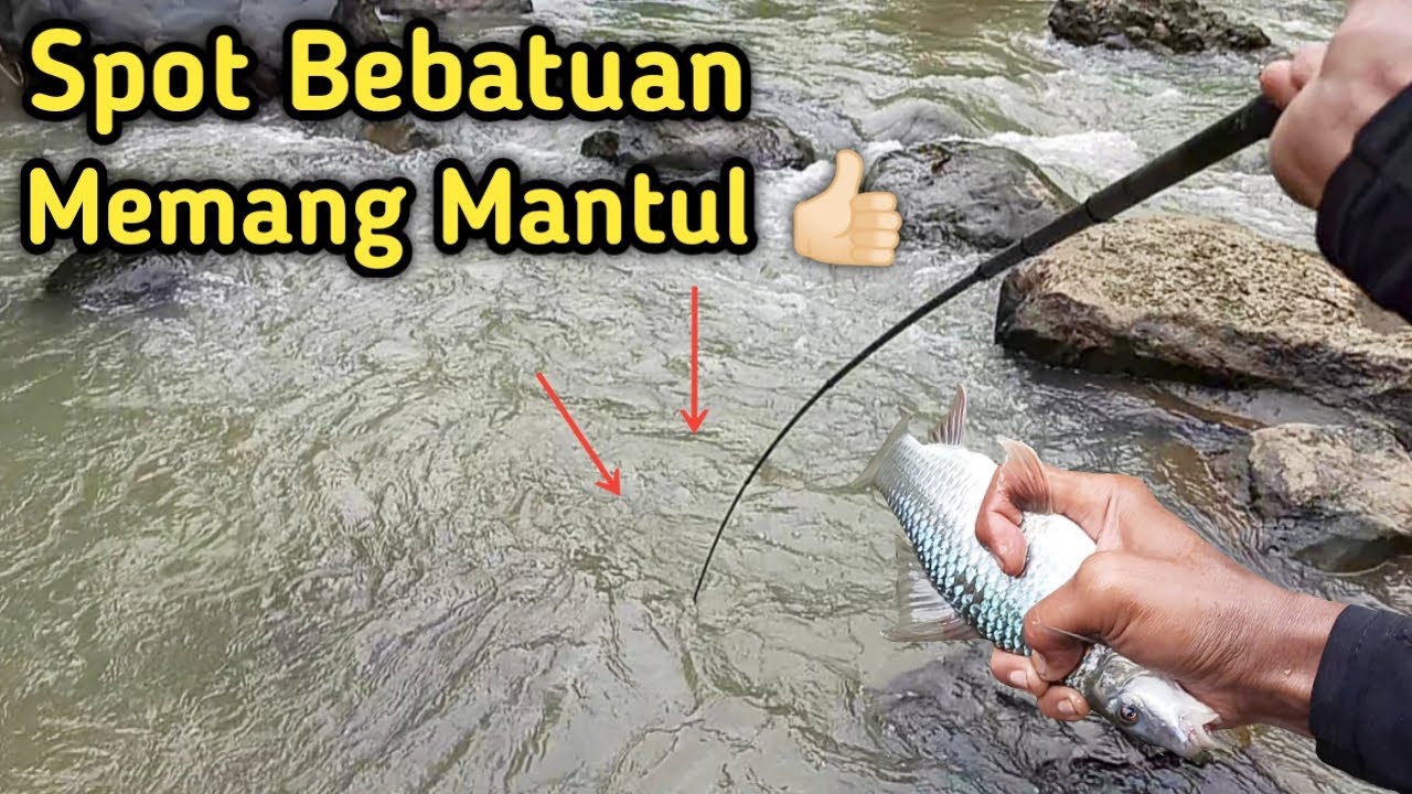 Jarang Orang Tau❗Mancing Nilem Spot Bebatuan Sarang Nya Ikan Nilem❗