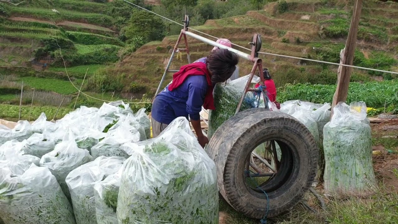 lgorot Farm Land#lli mi ay kaigorotan(by Nhoe Antonio Hull)