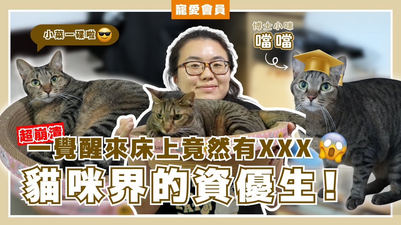 貓咪智商大考驗！會這招就是貓界頂尖資優生？主人床上驚見XX直接崩潰！【寵愛會員EP.11】｜WhatFur什麼毛