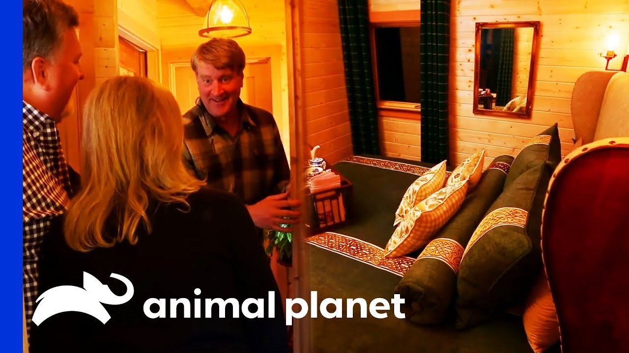 This Treehouse Has A Secret Bedroom Behind A Bookcase! | Treehouse Masters