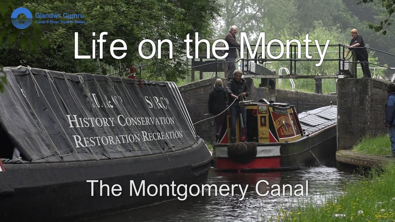 Life on the Monty