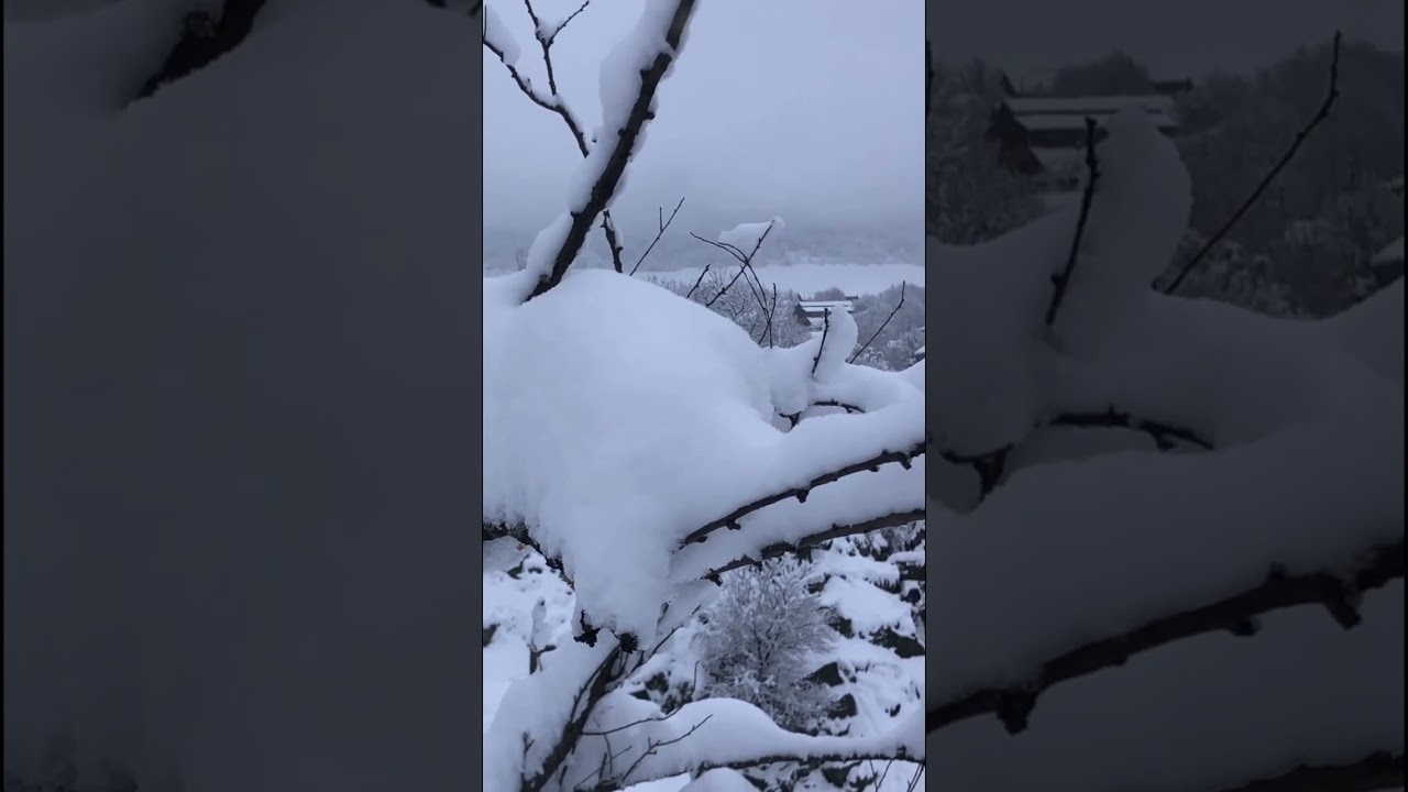 Դսեղում ձյան ծածկույթը բարձր է 4K #armenia #lurer #hratap #breakingnews #dsegh #top  #wind #weather