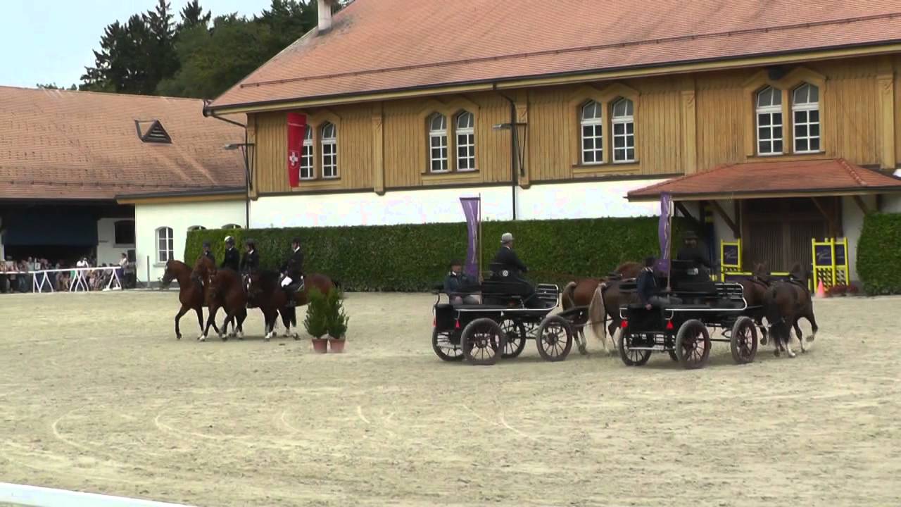 DonnerstagsImGestüt2014