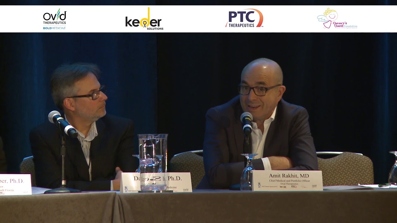 2018 FAST Science Summit - Round Table Panel on the Treatment of Angelman Syndrome