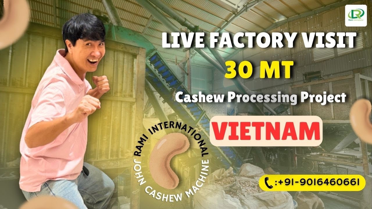 Fully Automatic 30 MT Cashew Processing Factory Visit 🏭 John Cashew Machine Vietnam 🚀#cashewplant