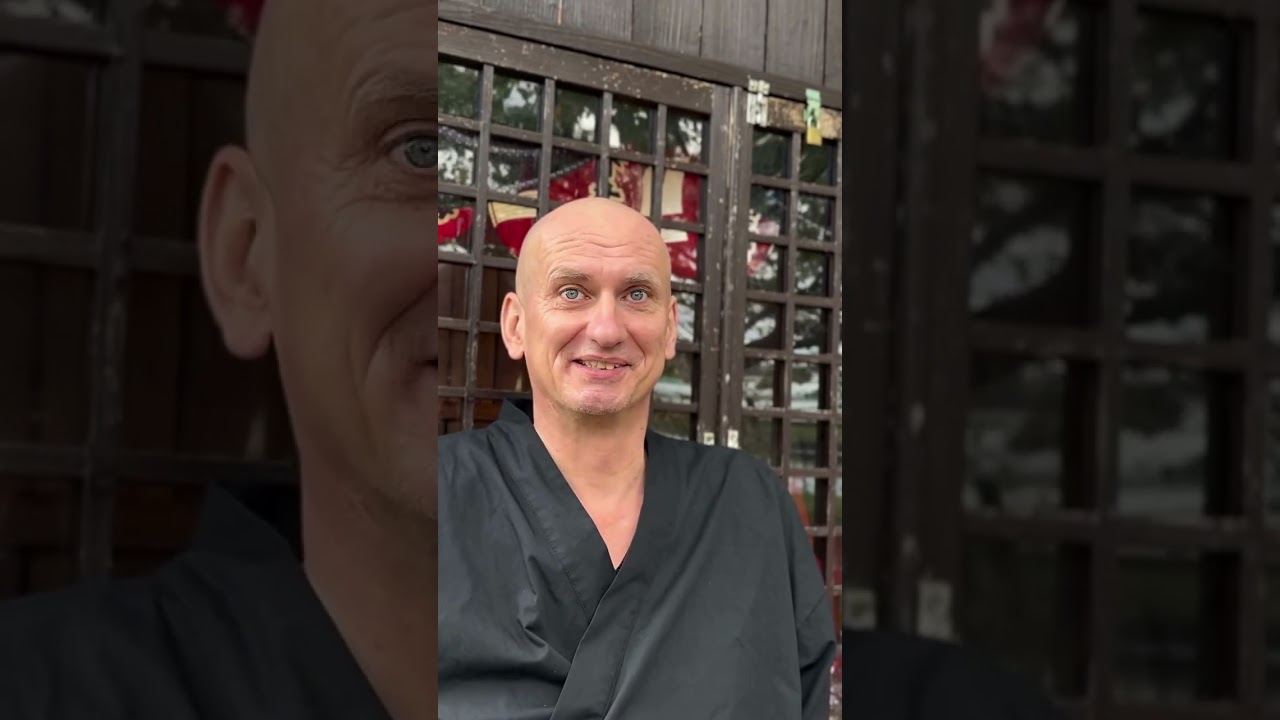 Interviewing a Zen Monk of 30 Years in Japan (Muho N&ouml;lke) 🙏🇯🇵 #japan #japantravel #zen