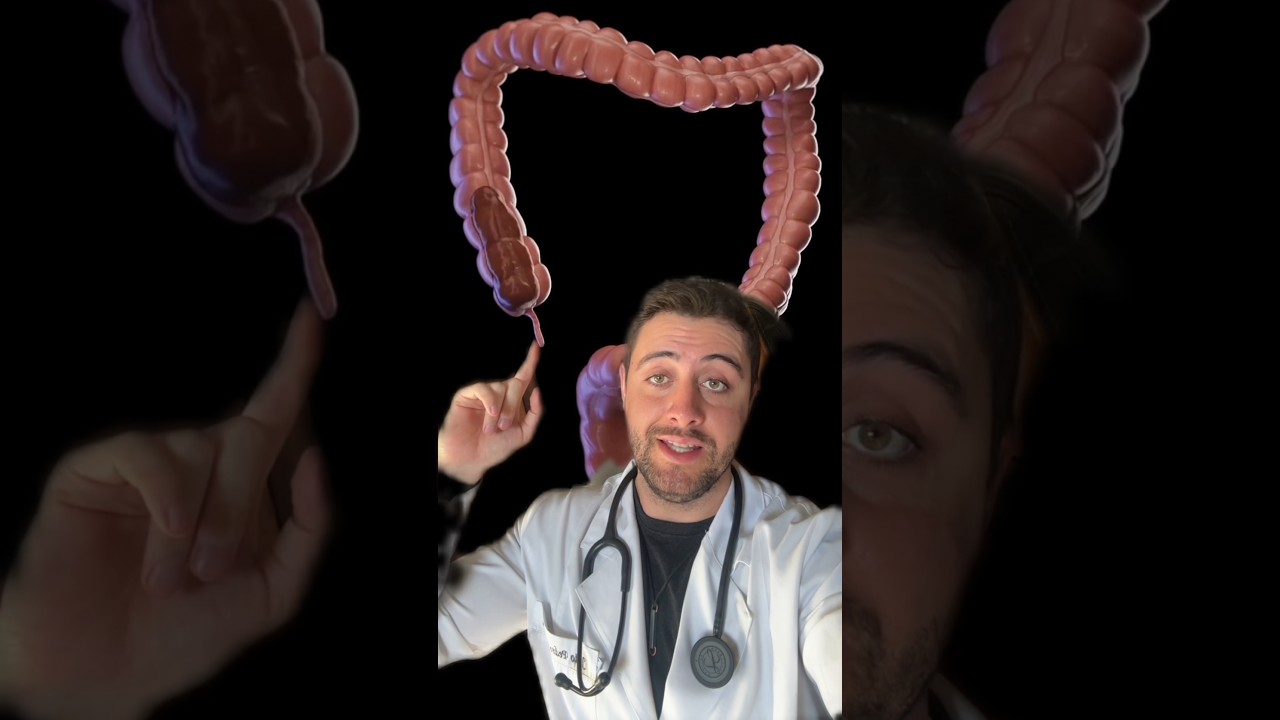 Como o coc&ocirc; &eacute; formado? #curiosidades #anatomia #curiosidademedicina #medico #medicina #biologia