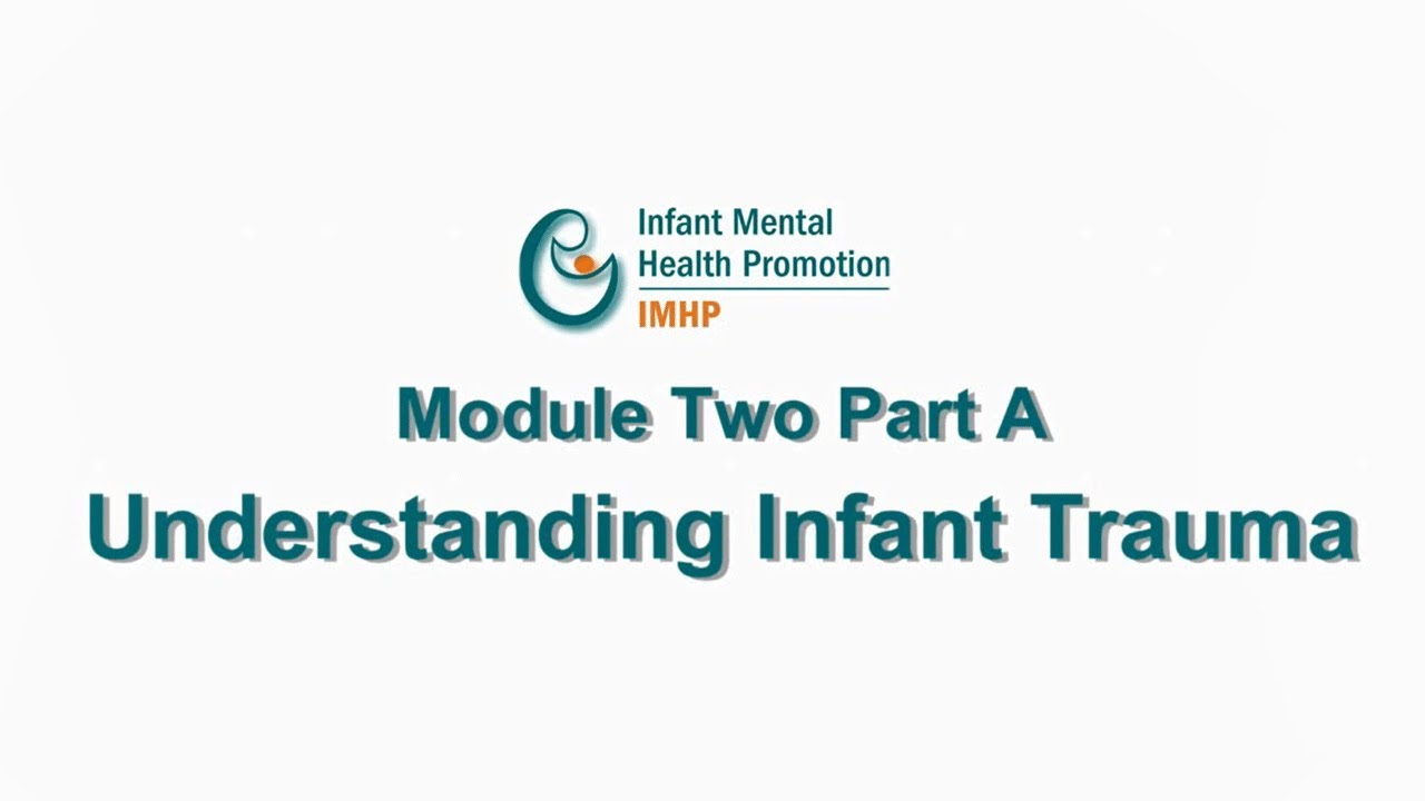 Infant Mental Health from the Bench: Module 2 Part A – Understanding Infant Trauma