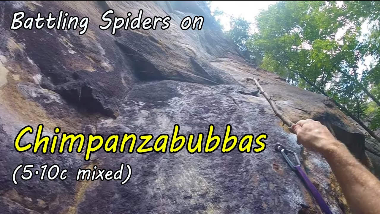 Battling spiders on Chimpanzabubbas - Climbing in the New River Gorge (and with a spider wand!)