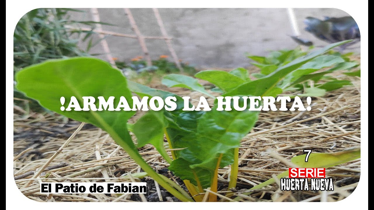 NO es otro PASEO de HUERTA y ASOCIACIÓN DE CULTIVOS