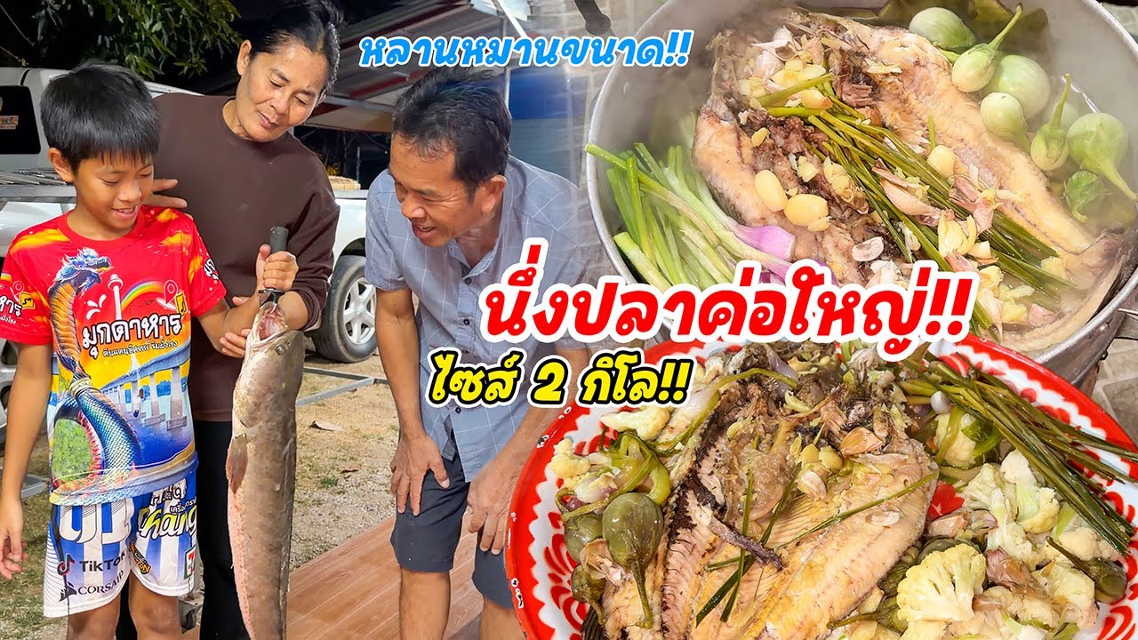 นึ่งปลาช่อนไซส์โล หลานตกเบ็ดได้ หมานขนาด!! นึ่งหอมๆกับผักหลายๆ จ้ำแจ่วแซบๆ