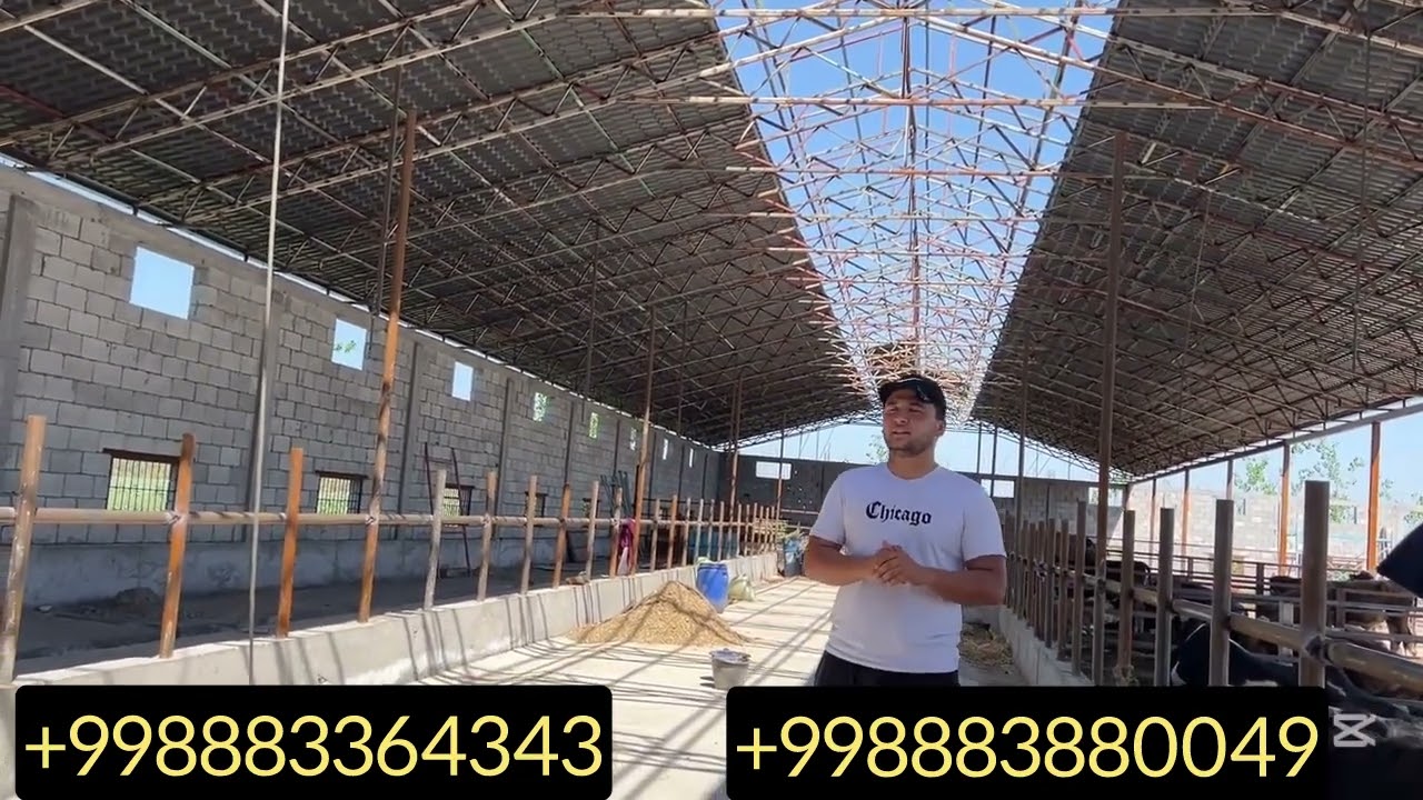 #tom #naves #xizmati #2026 #yilda #qancha #boldi #uzb #boylab #xizmat #korsatamiz #video 
