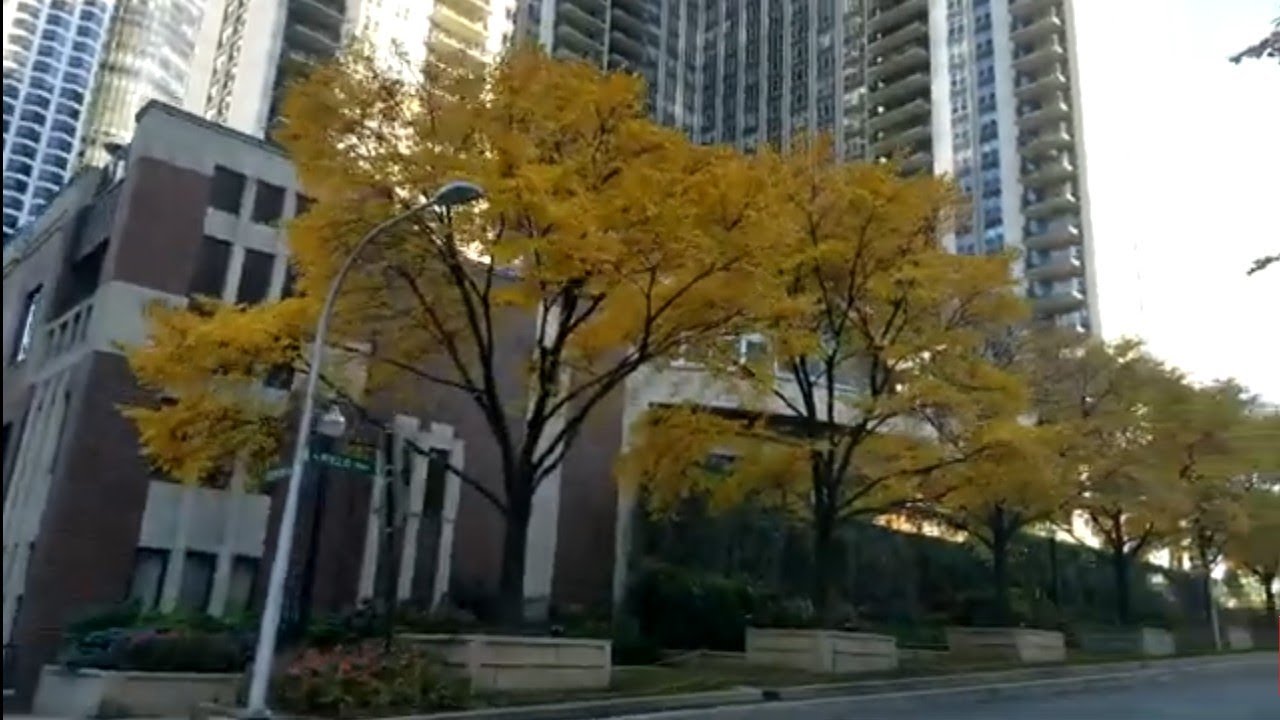 CHICAGO DOWNTOWN  LAKESHORE EAST PARK