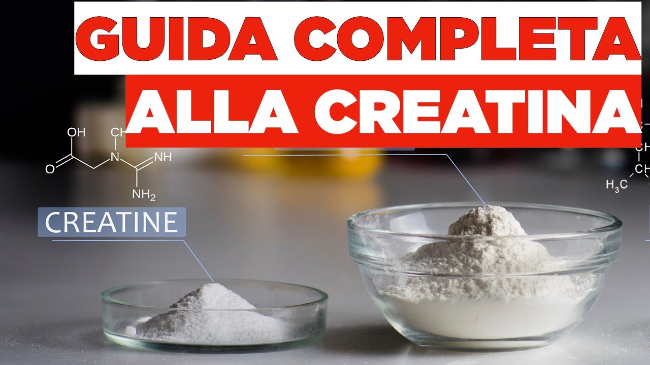 Guida alla CREATINA