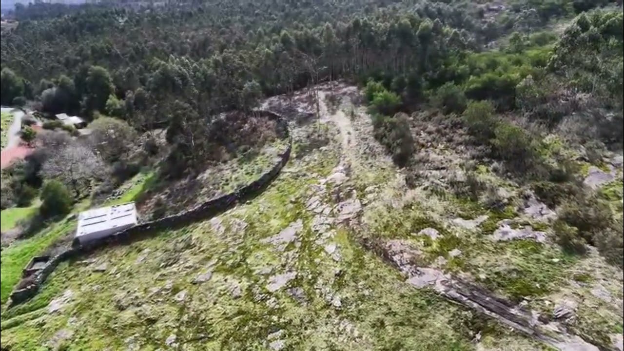 Nogueira - Vista do ar