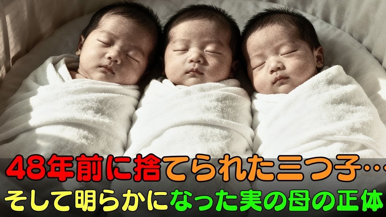 48年前に捨てられた三つ子…そして明らかになった実の母の正体。  人生の教訓