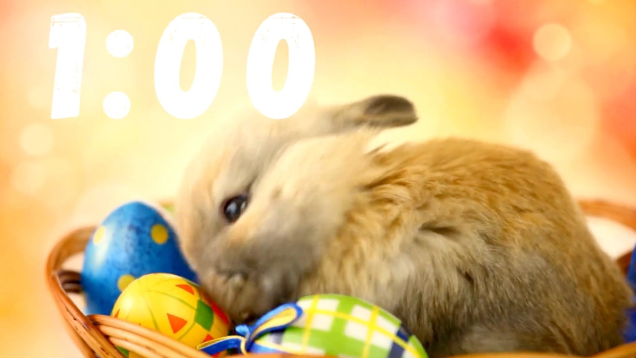 1 Minute Classroom Timer | Bunny & Easter Eggs Theme | No Music | Quiet Alarm