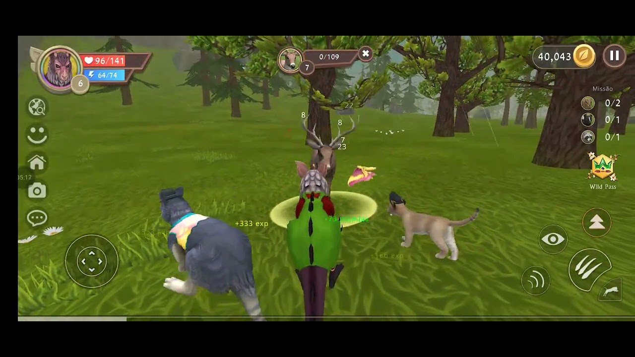 Me transformei em um canguru em 10 minutos 