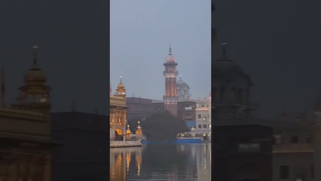 #shorts #short #viral #shortvideo #goldentempleji #gurbani #wheguru #music #subscribe #live #love