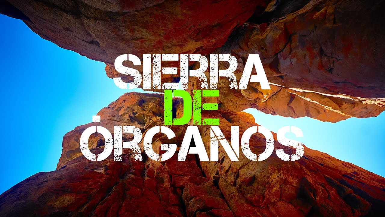 SIERRA DE ÓRGANOS - MARZO 2025 - SOMBRERETE, ZAC.